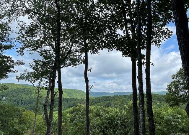Property at Lot 38 Hidden Grouse Ln, Sapphire, NC 28774