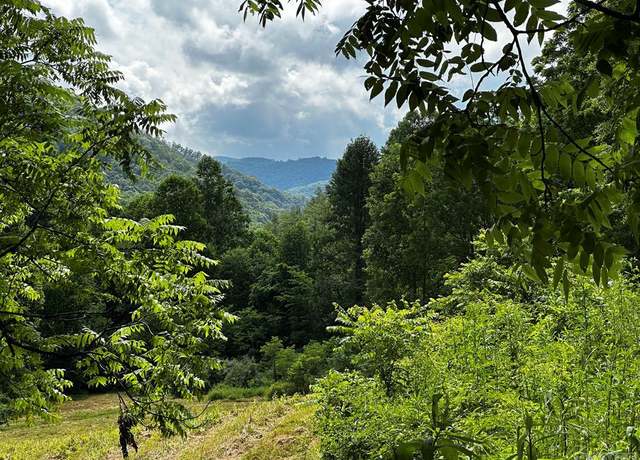 Property at L 15 Trout Creek Rd, Tuckasegee, NC 28783
