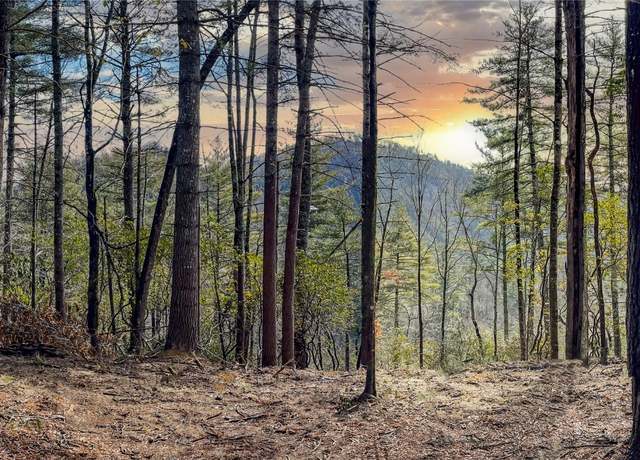 Property at Lot 9 Saratay Falls Dr, Cashiers, NC 28717