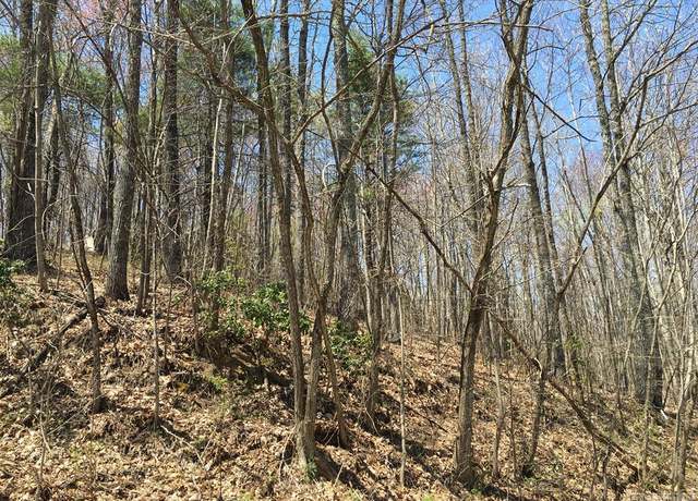 Property at TDB Kestrel Ct, Sapphire, NC 28774