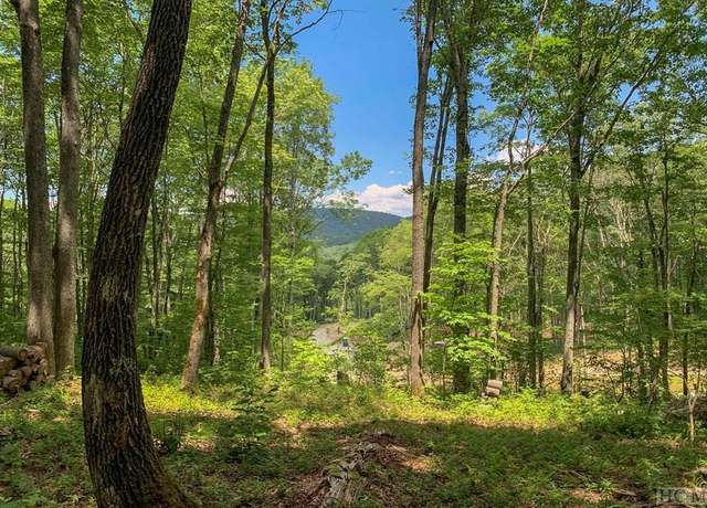 Property at Lot C51 Roaming Rd, Glenville, NC 28736