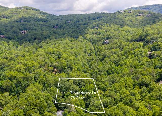 Property at 117 Buckberry Dr, Sapphire, NC 28774