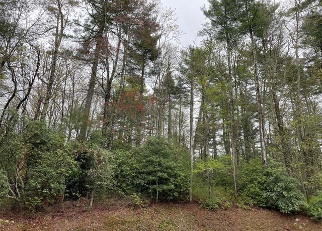 Property at Lot G- Bailey Ln, Sapphire, NC 28774