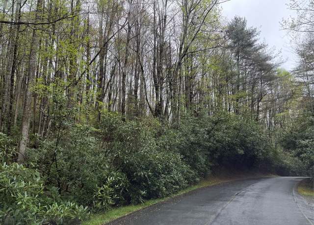 Property at 0 Holly Rd, Sapphire, NC 28774