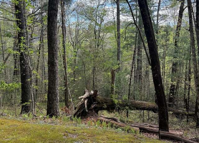 Property at 22 Woodward Trl, Sapphire, NC 28774