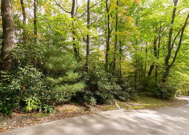 Property at 000 Trillium Ct, Sapphire, NC 28774