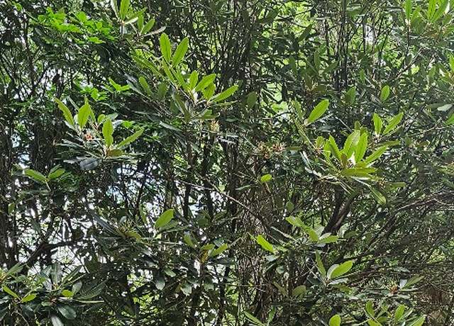 Property at RRL020 Lakeside Dr, Lake Toxaway, NC 28747