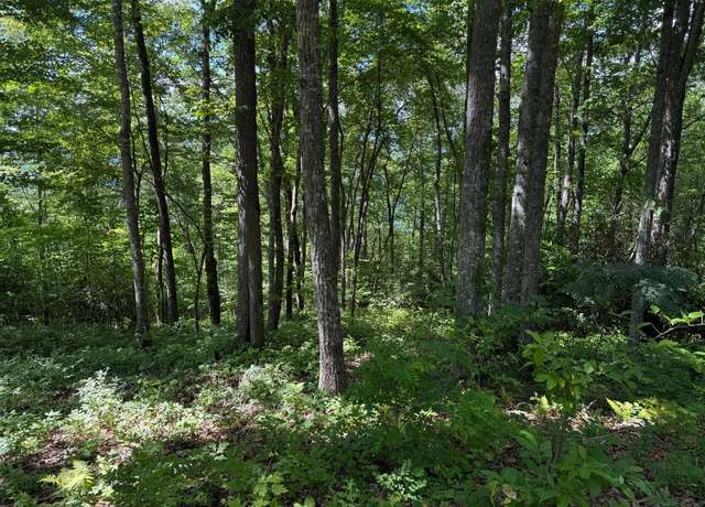 Property at 239 Cross Vine Dr, Tuckasegee, NC 28783