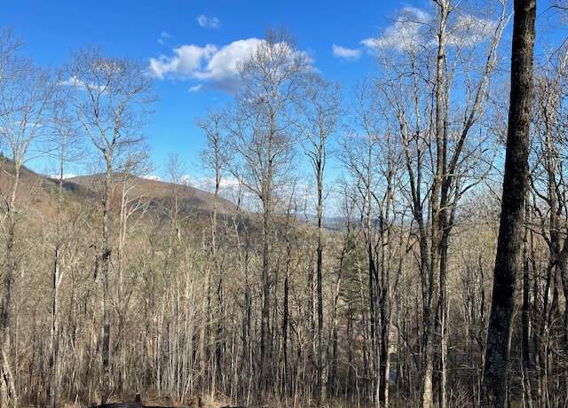 Property at Lot 2 Frond Ct, Sapphire, NC 28774