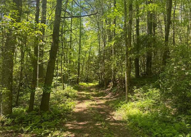 Property at TBD S Hwy 107, Cashiers, NC 28717