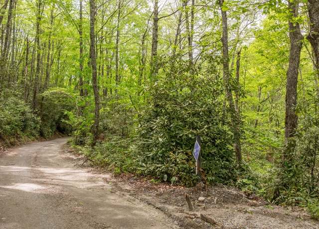 Property at 30 Eucalyptus Dr, Glenville, NC 28736