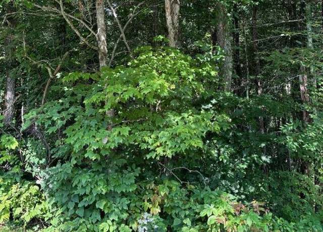 Property at Lot 222 Dry Stack Way, Cashiers, NC 28717