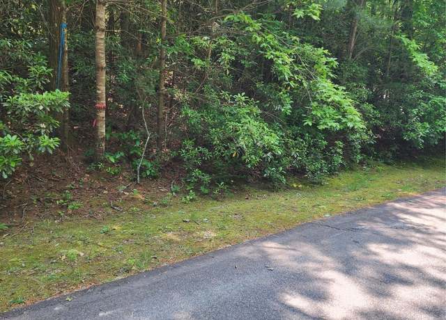 Property at Lot 50 Big Pine Rd, Sapphire, NC 28774