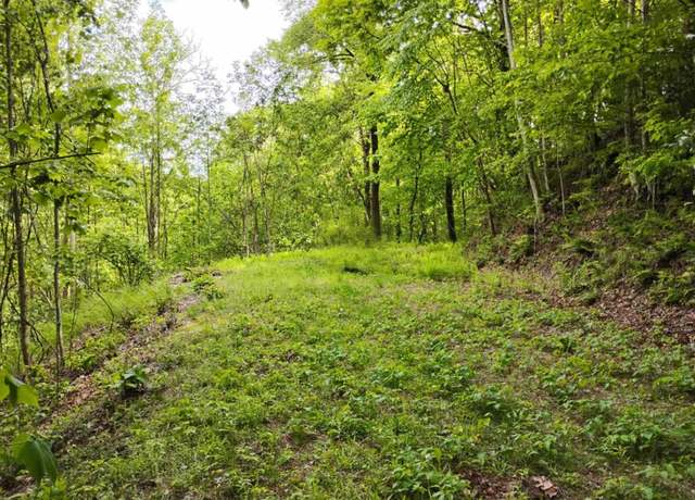 Property at 0 Highland Gap, Scaly Mountain, NC 28775