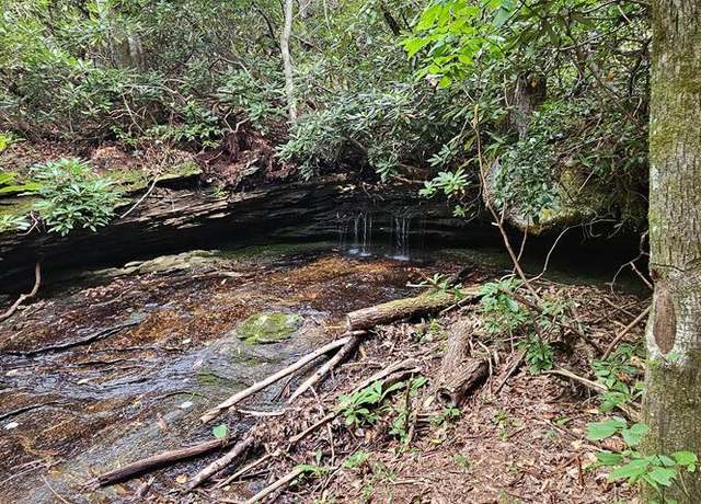 Property at 30 Rock Creek Ct, Sapphire, NC 28774