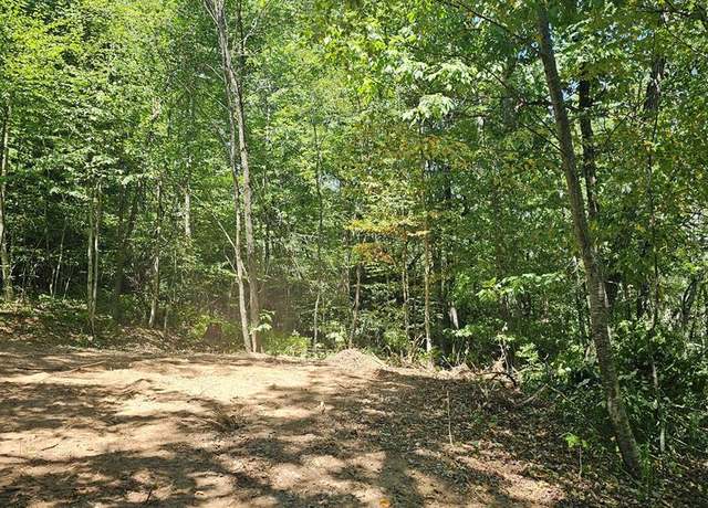 Property at 0 Eastside Duck Mountain Rd, Scaly Mountain, NC 28775