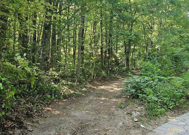 Property at 811 Eastside Duck Mountain Rd, Scaly Mountain, NC 28775