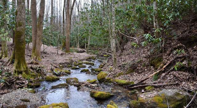 Photo of Lot O Spikemoss Rd, NC 28774