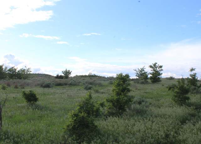 Property at NS 203 & 54 S12 T20n R21 Wim, Sharon, OK 73857