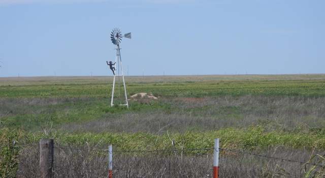 Photo of US Highway 64 & Hollow N1630 Rd, Gate, OK 73844