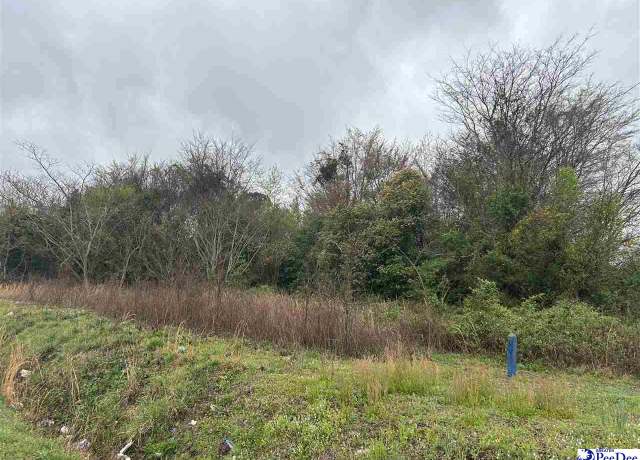 Property at TBD Highway 15-401, Bennettsville, SC 29512