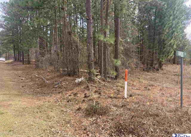 Property at Lot A Ammons Ln, Hartsville, SC 29550