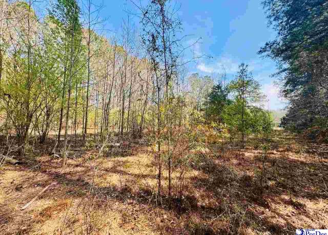 Property at 2299 E Main St Ext, Bennettsville, SC 29512