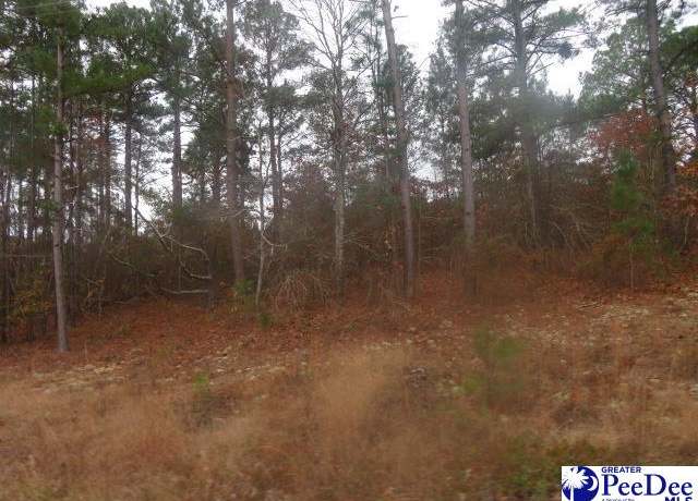 Property at Lots 4&5 Morrison Rd, Hartsville, SC 29550