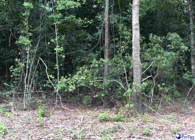 Property at 424 E Siesta Dr, Florence, SC 29505