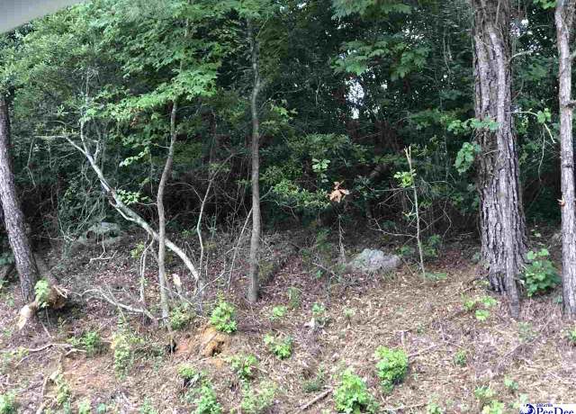 Property at 436 E Siesta Dr, Florence, SC 29505