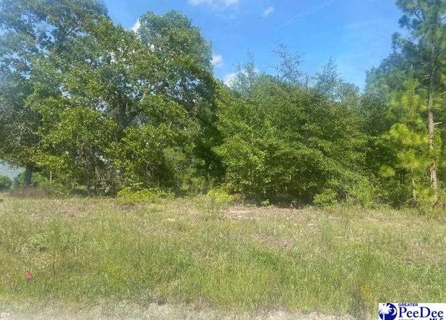 Property at TBD Mapletree Dr, Dillon, SC 29563