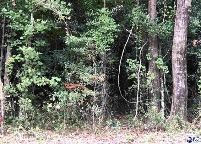 Property at 432 E Siesta Dr, Florence, SC 29505