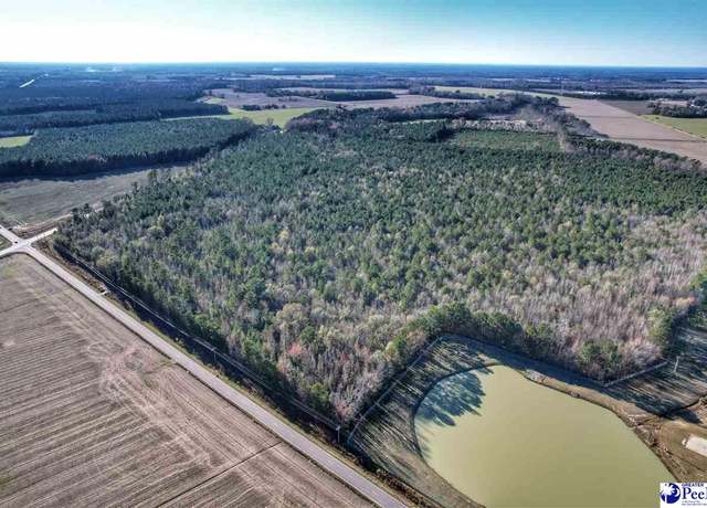 Property at TBD Intersection of Highway 34 West & Harllees Brg, Dillon, SC 29536