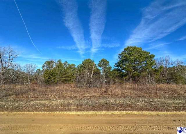 Property at Lot 13 Copeland Moody Rd, Latta, SC 29565