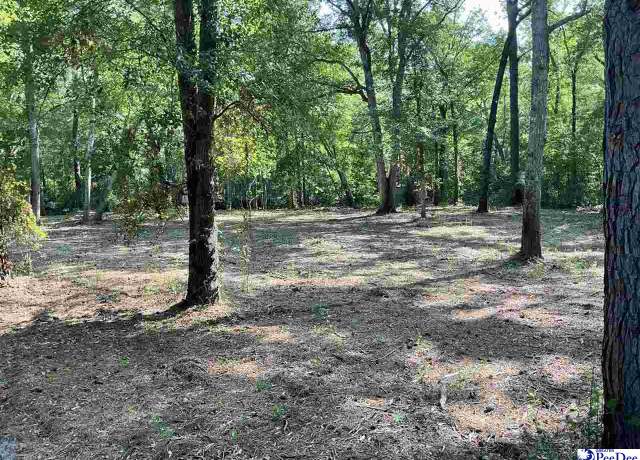 Property at 18 & 19 Pointe View Dr, Darlington, SC 29532