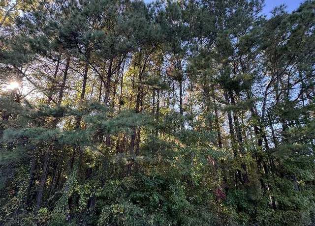 Property at 000 Zion Road (lot 22), Lamar, SC 29069