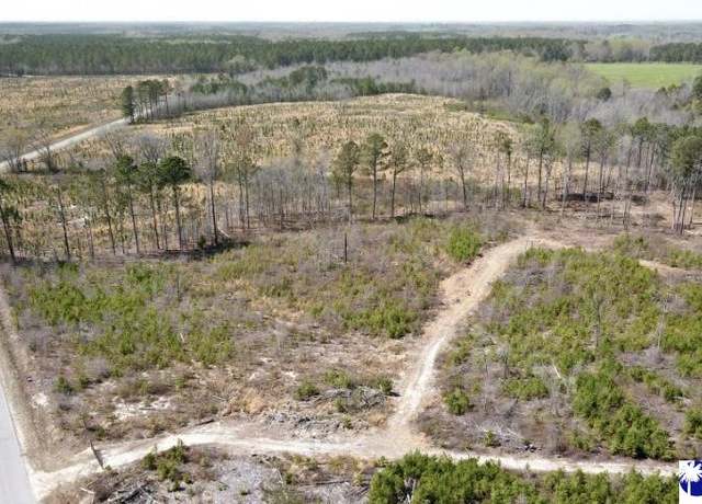 Property at Tract 2 Hallelujah Rd, Mt Croghan, SC 29727