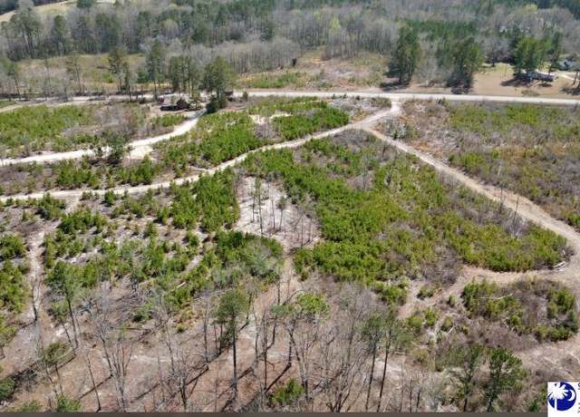 Property at Tract 3 Hallelujah Rd, Mt Croghan, SC 29727