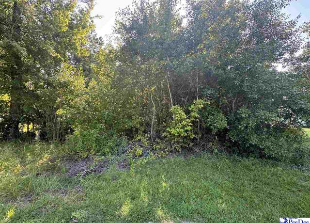 Property at TBD S Wallace Rd, Florence, SC 29506