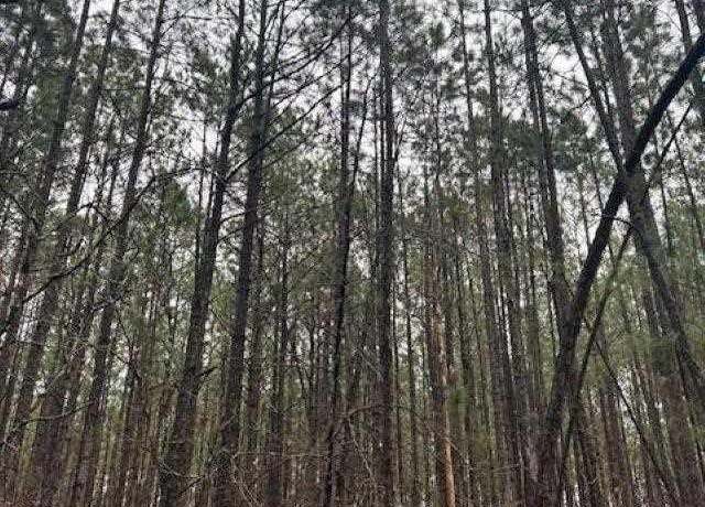 Property at TBD Freeman Rd, Bethune, SC 29009