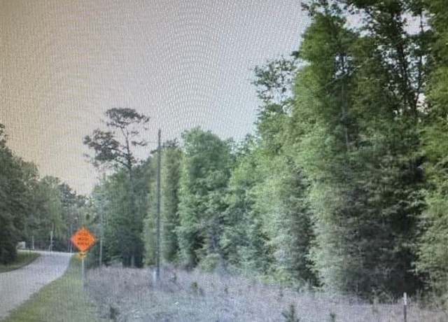 Property at Lot 2 Reds Lndg, Andrew, SC 29510
