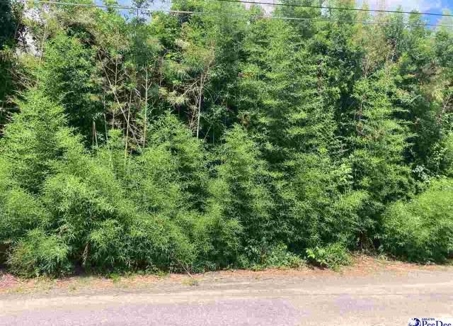 Property at 105 Elm Ct, Dillon, SC 29536