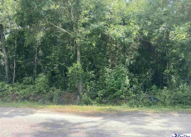 Property at W Jefferson Street & Mary M. Blue Ave, Dillon, SC 29536