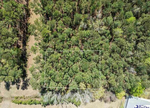 Property at TBD Lot 18 Otwell Dr, Johnsonville, SC 29555