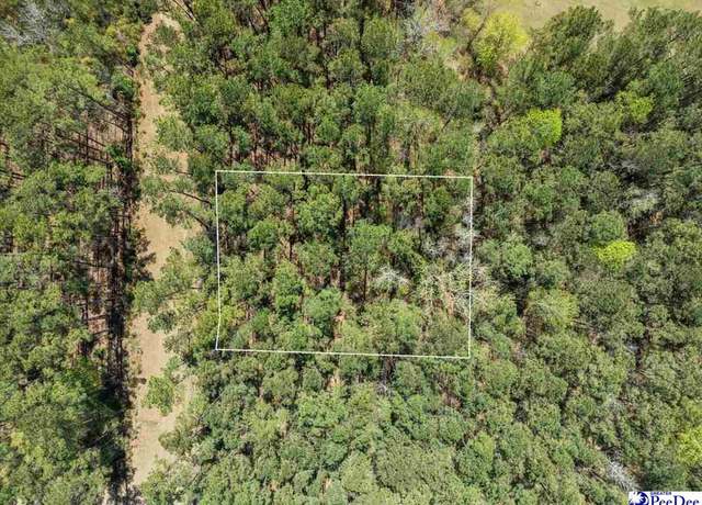 Property at TBD Lot 17 Otwell Dr, Johnsonville, SC 29555