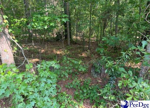 Property at 000 Ballpark Rd. (highway 136), Effingham, SC 29541