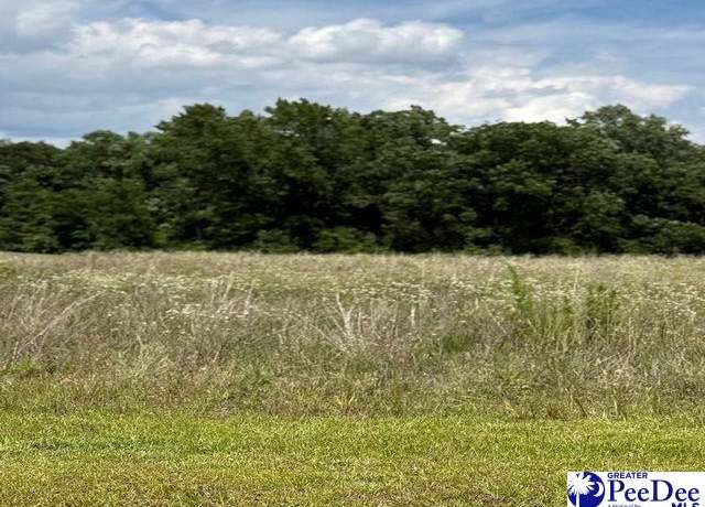 Property at Lot 22 Govrnor's Run, Lamar, SC 29069