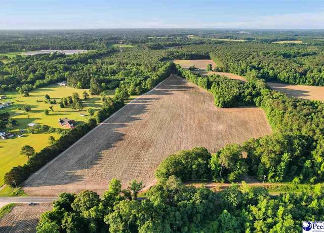 Property at Lot 2 TBD Windham Town Rd, Lamar, SC 29069