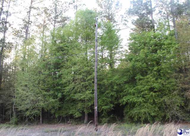 Property at Lot 3 Reds Lndg, Andrews, SC 29510