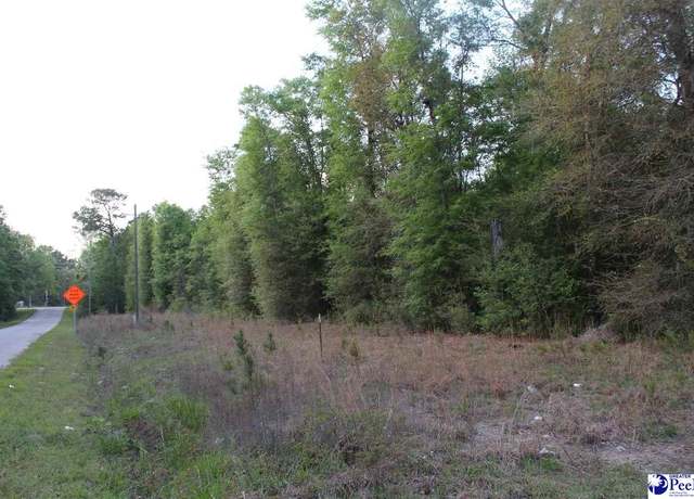 Property at Lot 4 Reds Landing Rd, Andrews, SC 29510